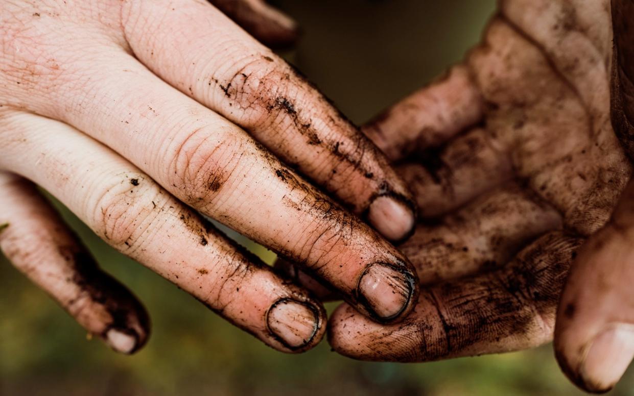 Why dirt is good for you