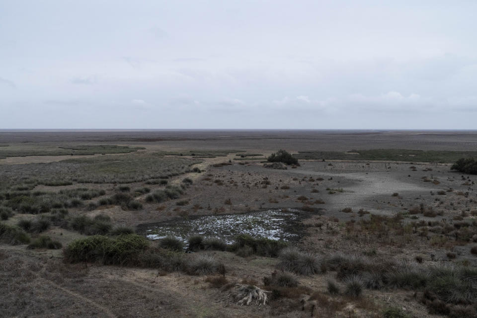 Dry marshland is visible in Doñana natural park, southwest Spain, Wednesday, Oct. 19, 2022. Farming and tourism had already drained the aquifer feeding Doñana. Then climate change hit Spain with record-high temperatures and a prolonged drought this year. (AP Photo/Bernat Armangue)