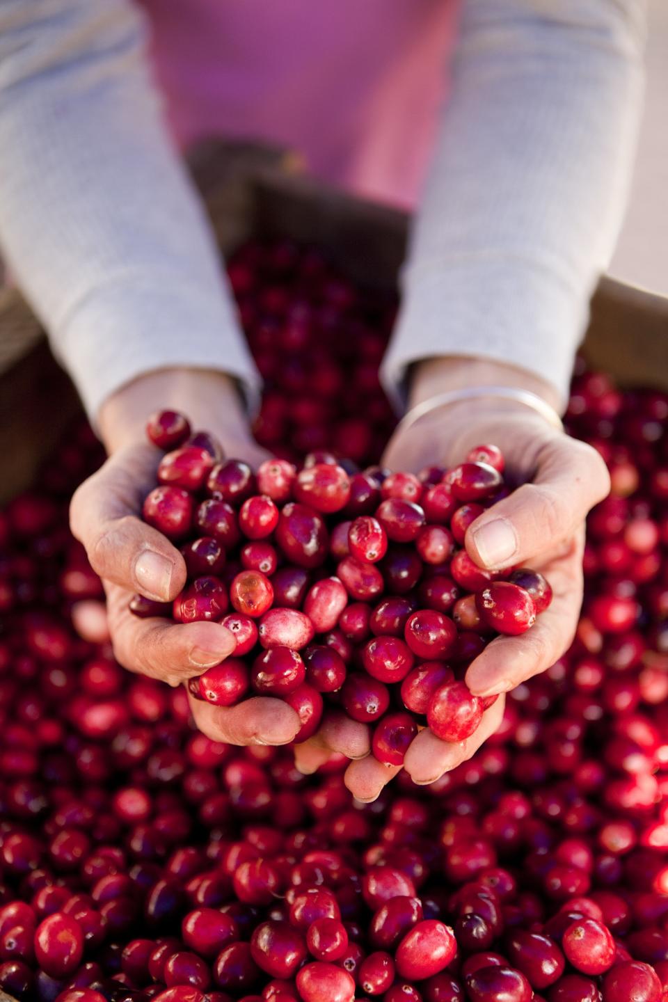 Whether or not cranberries make up your <a href="https://people.com/food/thanksgiving-menu-ideas-from-celebrities/" rel="nofollow noopener" target="_blank" data-ylk="slk:favorite side dish;elm:context_link;itc:0;sec:content-canvas" class="link ">favorite side dish</a>, Americans will eat <strong>80 million</strong> pounds of the fruit during the holiday, according to <a href="https://www.ajc.com/lifestyles/food--cooking/eat-million-turkeys-this-thanksgiving-plus-more-holiday-factoids/8GbHMKEHBaBfQvCl67FVWO/" rel="nofollow noopener" target="_blank" data-ylk="slk:AJC;elm:context_link;itc:0;sec:content-canvas" class="link ">AJC</a>.