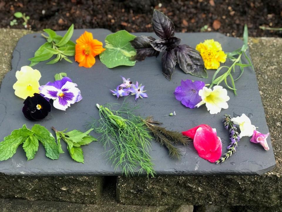 Edible herbs and flowers. First row: mint, dill, fennel, roses, lavender and snapdragons. Second row: pansies, borage flowers and petunias. Top row: lemon verbena, nasturtium flower and leaf, purple basil, marigold and tarragon.