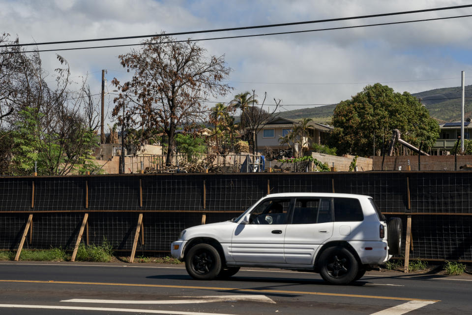 A car drives along Hawaii Route 30 past fencing in front of properties destroyed by an August wildfire, Wednesday, Dec. 6, 2023, in Lahaina, Hawaii. Cleanup efforts are still underway after the wildfire that swept through the Lahaina community on the Hawaiian island of Maui, the deadliest U.S. wildfire in more than a century. (AP Photo/Lindsey Wasson)