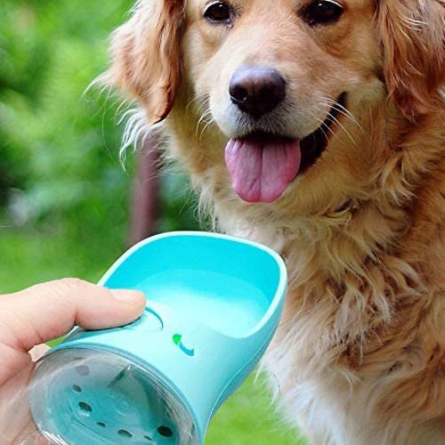 Dog Water Bottle