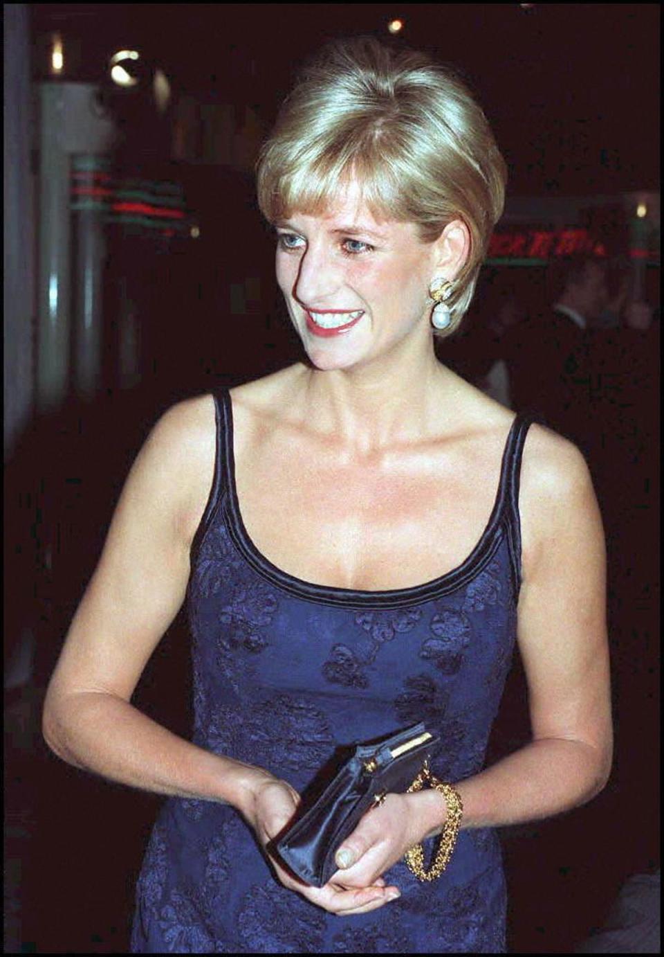 Diana died in 1997 (AFP via Getty Images)