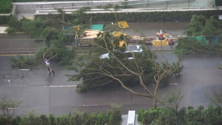 A driver removes a fallen tree during Typhoon Mangkhut in Hong Kong, China September 16, 2018 in this still image obtained from a social media video. INSTAGRAM/ @pcmarriott / YOUTUBE/pcmarriotthk/via REUTERS