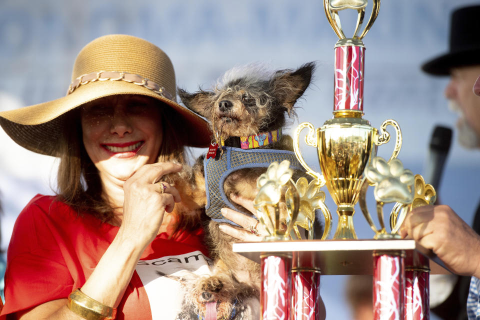 Scamp the Tramp is held by Darlene Wright after winning the World's Ugliest Dog Contest at the Sonoma-Marin Fair in Petaluma, Calif., on Friday, June 21, 2019. (AP Photo/Noah Berger)