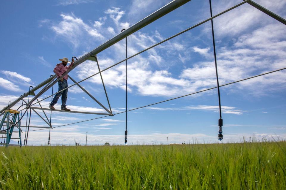 Kyler Brown stands atop an irrigation sprinkler on the Monte Vista, Colorado property.