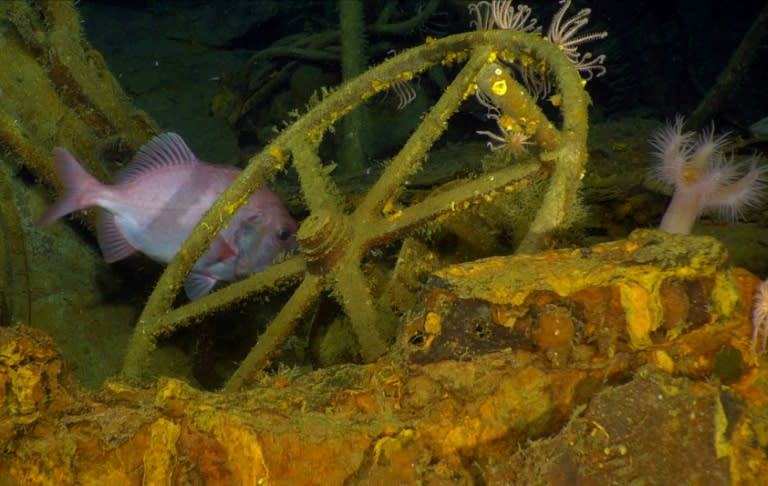 Part of the wreckage of the wreckage of Australia’s first submarine HMAS AE1