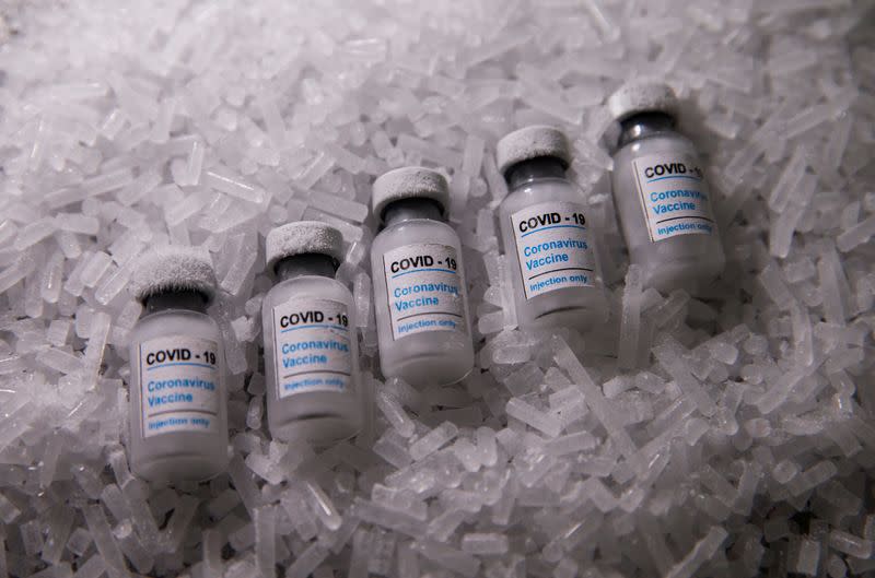 FILE PHOTO: Vials labelled "COVID-19 Coronavirus Vaccine" are placed on dry ice in this illustration