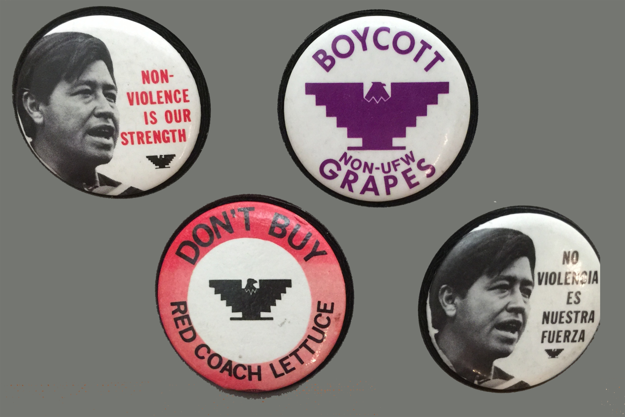 Pins from United Farm Workers