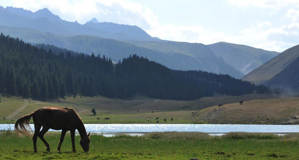 A horse grazes  in front of Kara-Kul lake in the Chon-Ak-Suu valley  close to the famous Issyk-Kul lake, some 300 km southeast of Bishkek, the capital of Kyrgyzstan, on July 22, 2014.  / Credit: VYACHESLAV OSELEDKO/AFP via Getty Images