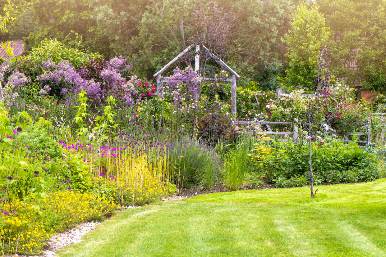  Beautiful English Cottage summer garden with rustic wooden pergola in soft sunshine - stock photo. 