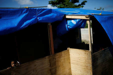 Yeriel Cruz, 4, looks out of the window of his family house, which was partially destroyed by Hurricane Maria, at the squatter community of Villa Hugo in Canovanas, Puerto Rico, December 9, 2017. REUTERS/Carlos Garcia Rawlins