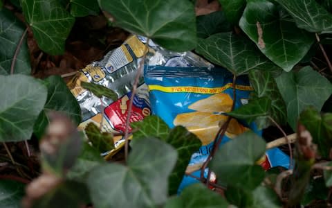 Crisp packets are often discarded in places that lack waste disposal means, making them a hazard for the local wildlife - Credit: Alamy