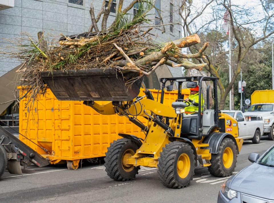 Workers remove a parts of a large tree branch covering 15th Street and multiple cars between N and O streets in Sacramento on Sunday, Feb. 4, 2024, after high winds caused tree damage across the region.