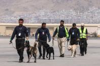 <p>La asociación animalista PETA ha dicho en un comunicado que las fuerzas estadounidenses dejaron abandonados en Afganistán 120 perros (60 detectores de bomba y 60 perros de trabajo). (Photo by KARIM SAHIB/AFP via Getty Images)</p> 