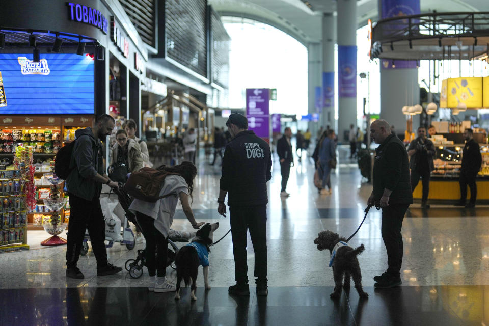 A traveller pets the dog Alita while two handlers walk airport therapy dogs Alita and Kuki through Istanbul Airport in Turkey, Wednesday, April 3, 2024. Istanbul Airport has made five new hires to provide stress-free travel experience for anxious passengers: therapy dogs that are ready to offer support with snuggles, belly rubs and sloppy kisses. (AP Photo/Khalil Hamra)