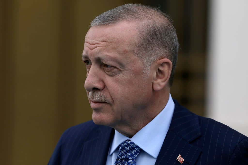 Turkey Erdogan (AP)
