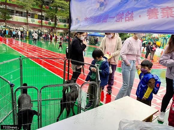 土城育全幼兒園舉辦愛心義賣親子遊園會，新北動保處到校設置認養攤位，宣導愛護動物觀念。(新北市動保處提供)