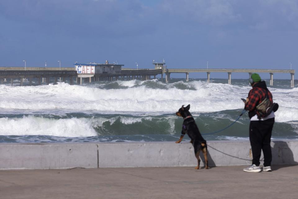 A person walking their dog stands next to the ocean as large wind-driven waves hit the pier in the Ocean Beach neighborhood of San Diego, California on February 22 (REUTERS/Mike Blake) (REUTERS)