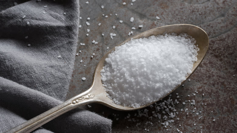 spoonful of kosher salt