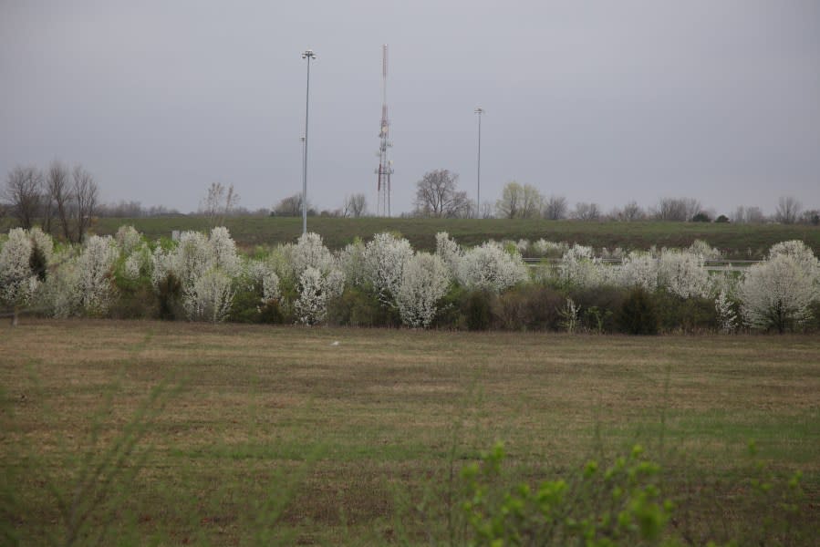 (Photo Courtesy/Ohio Department of Natural Resources)