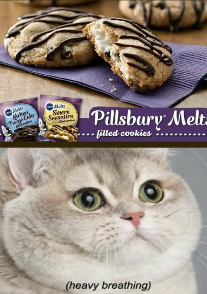 Close-up of baked chocolate fudge and s'more cookies and a hungry-looking cat with caption "heavy breathing"