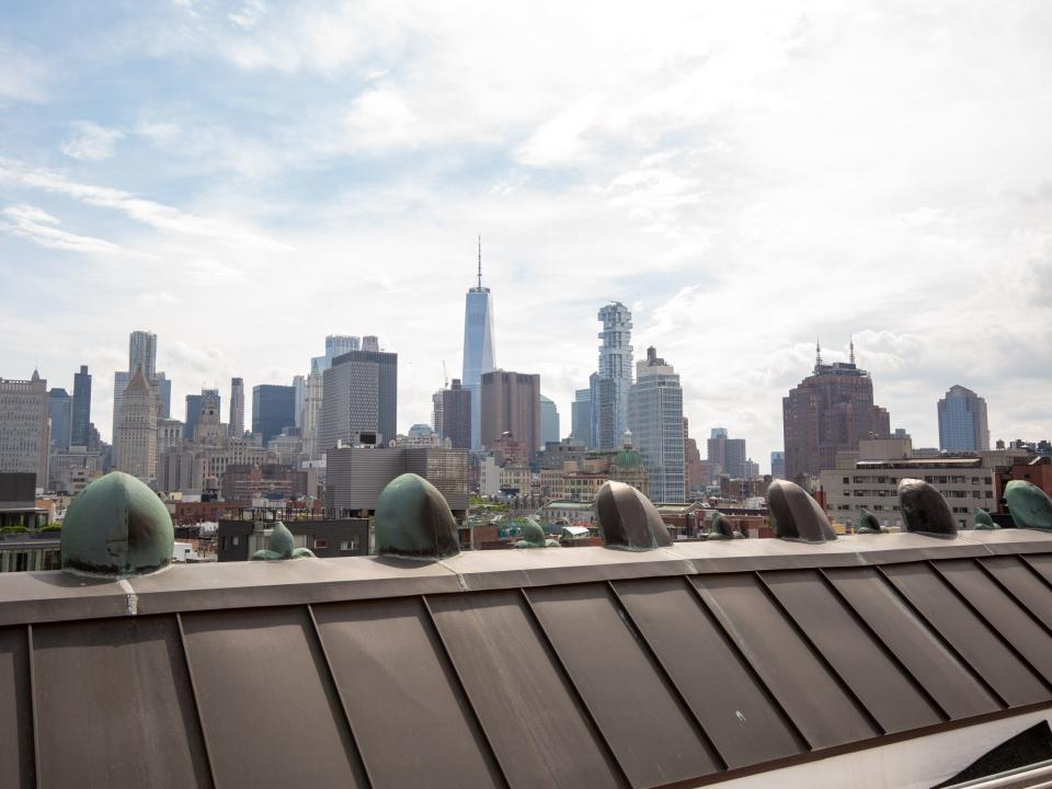 The view of lower Manhattan from a rooftop.