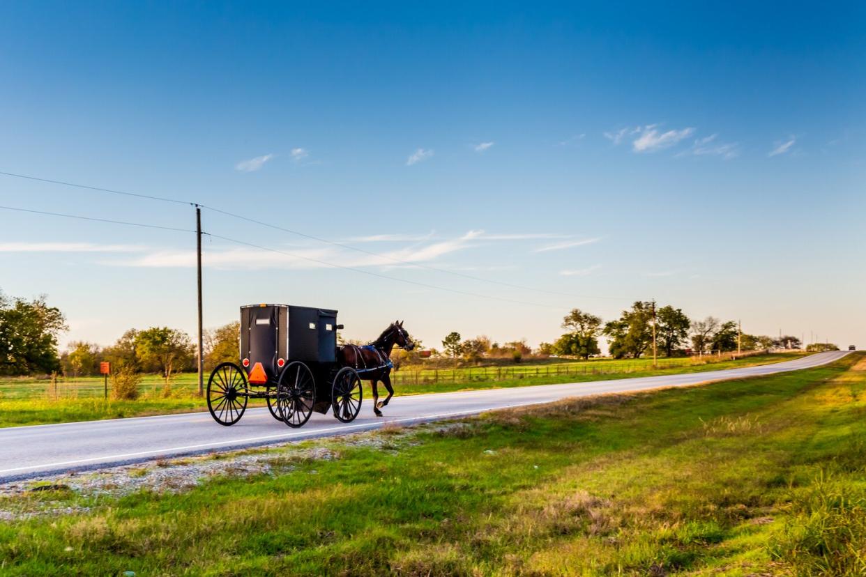 Horse and Carriage