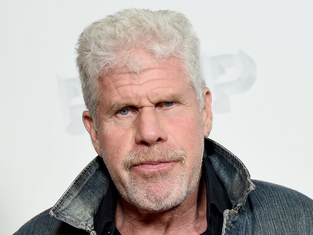 Ron Perlman: “Espero que haya un lugar especial en el infierno para aquellas personas que se aprovecharon de la vulnerabilidad de los demás” (Gregg DeGuire/Getty Images)