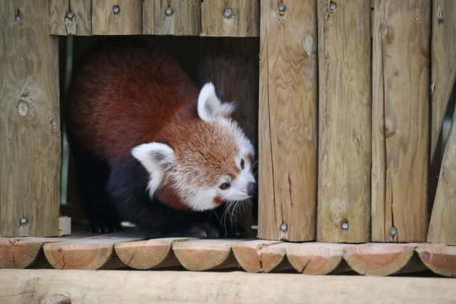 Yorkshire Wildlife Park expanded animal reserves