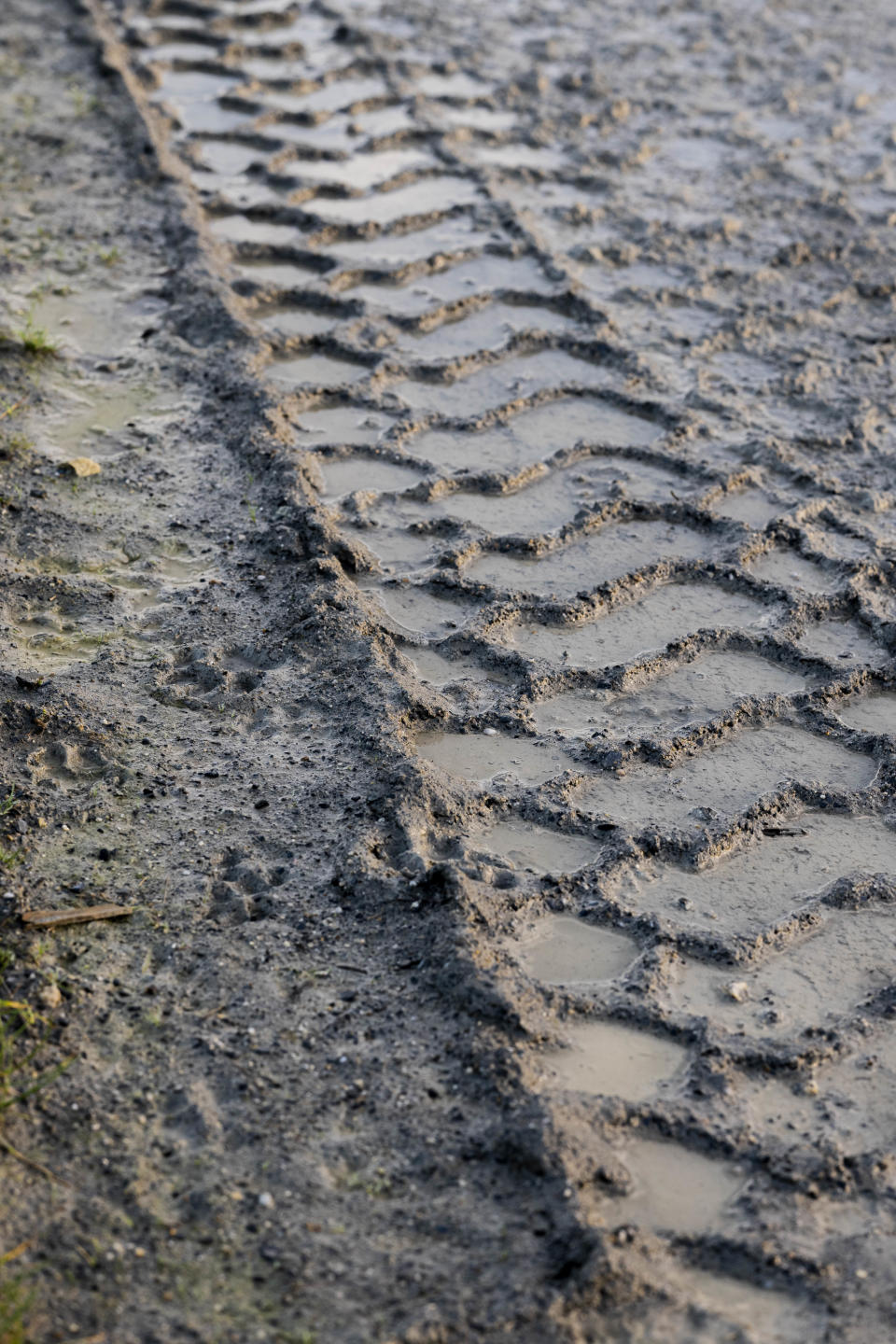 Digger tracks in the mud on a crisp morning taken with the Leica 90mm APO Summicron-SL f/2 ASPH