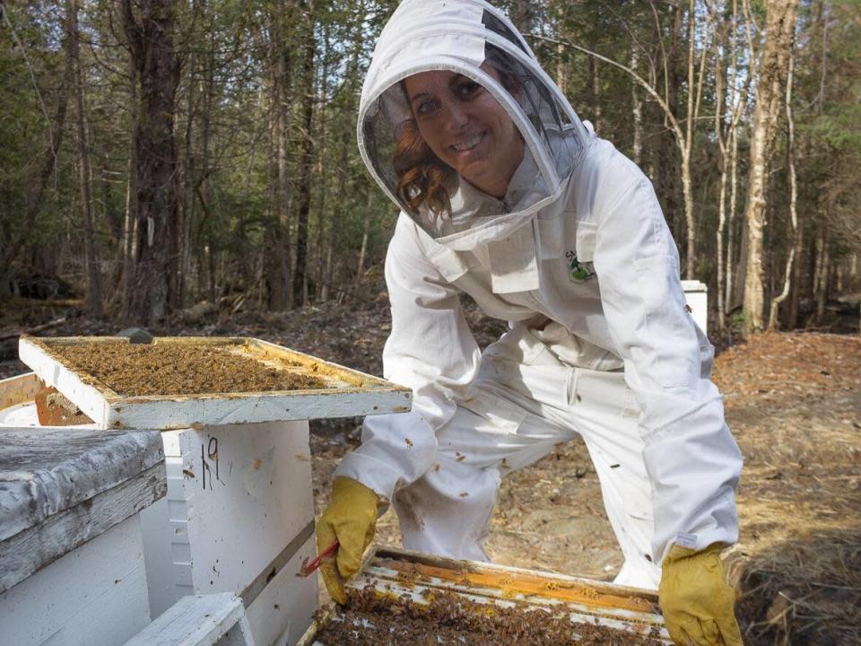 Bee producer Tammy-Lyne Comtois Fortier lost 70 per cent of her bees this winter. (Submitted by Tammy-Lyne Comtois Fortier - image credit)