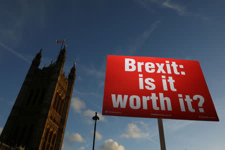 An anti-Brexit demonstrator holds a placard opposite the Houses of Parliament, in London, Britain, November 13, 2018. REUTERS/Simon Dawson
