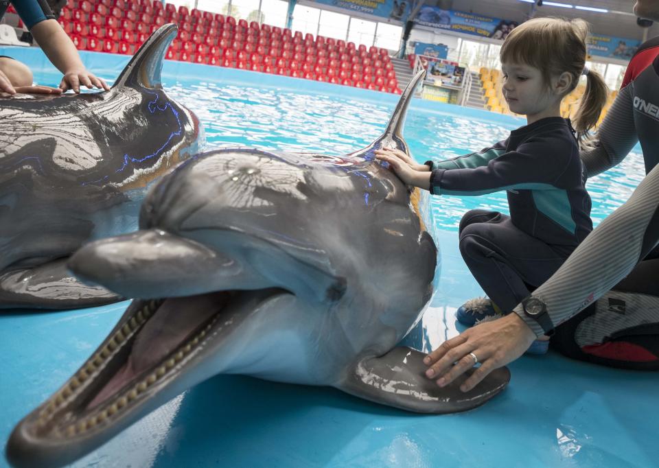 A girl touches a dolphin during a dolphin therapy session at the Nemo Dolphinarium in Kiev