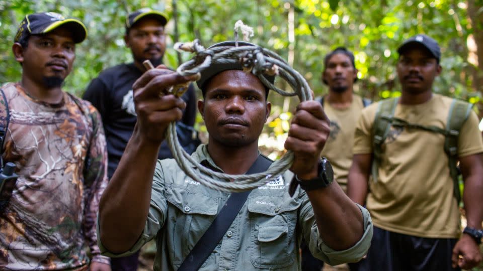 Merapi Mat Razi, a senior anti-poaching patrol member at WWF–Malaysia (center), holds a snare that was removed from Royal Belum State Park, Malaysia. - Emmanuel Rondeau / WWF-US