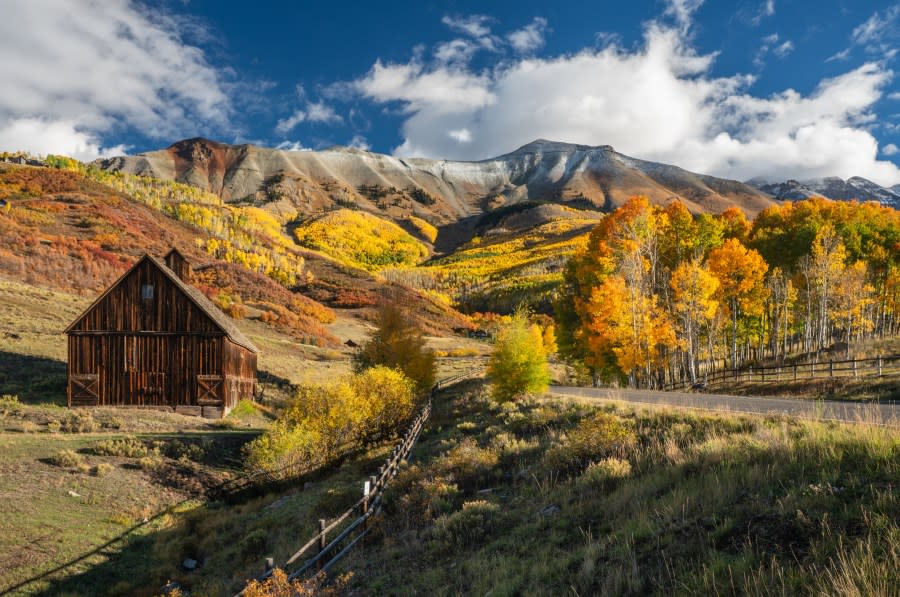 Golden Autumn Aspen on Last Dollar Road near Telluride Colorado (Getty Images)