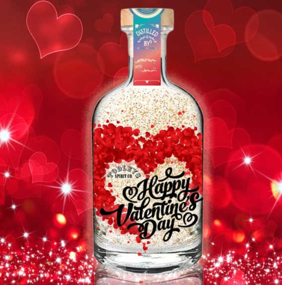 valentines day gin gifts for him