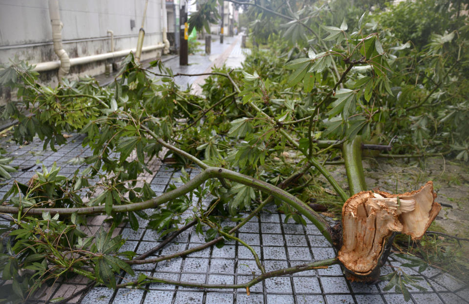 A broken tree blocks a road as a powerful typhoon blew over Naha city, Okinawa, southern Japan Tuesday, Sept. 1, 2020. Warnings issued for the area around Okinawa, home to U.S. military bases, said strong gusts could cause some homes to collapse and extremely high tides were a risk as well. (Kyodo News via AP)