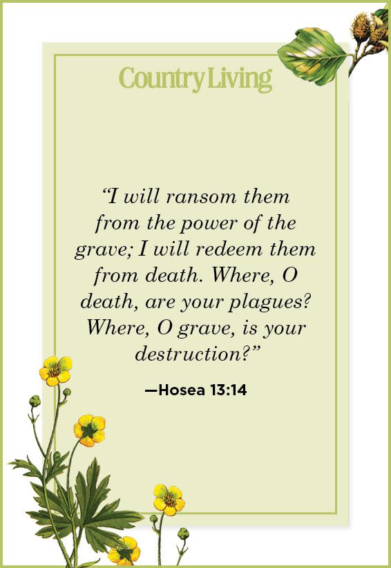 19) Hosea 13:14