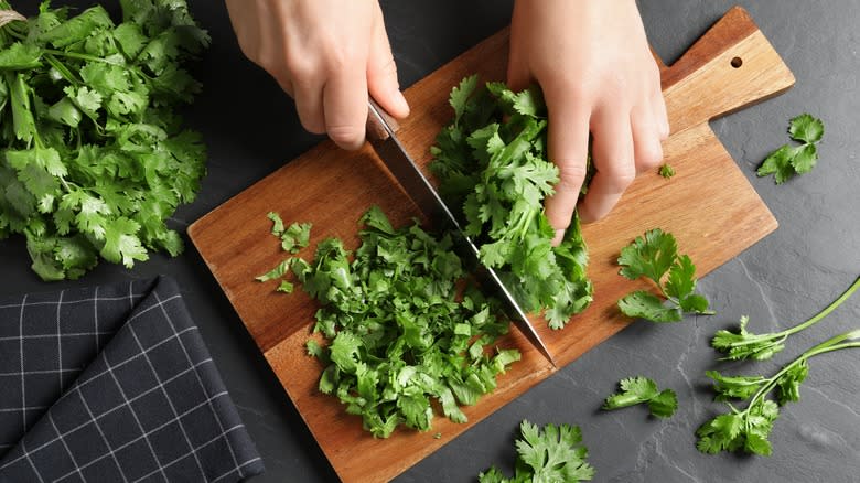 Person chopping cilantro