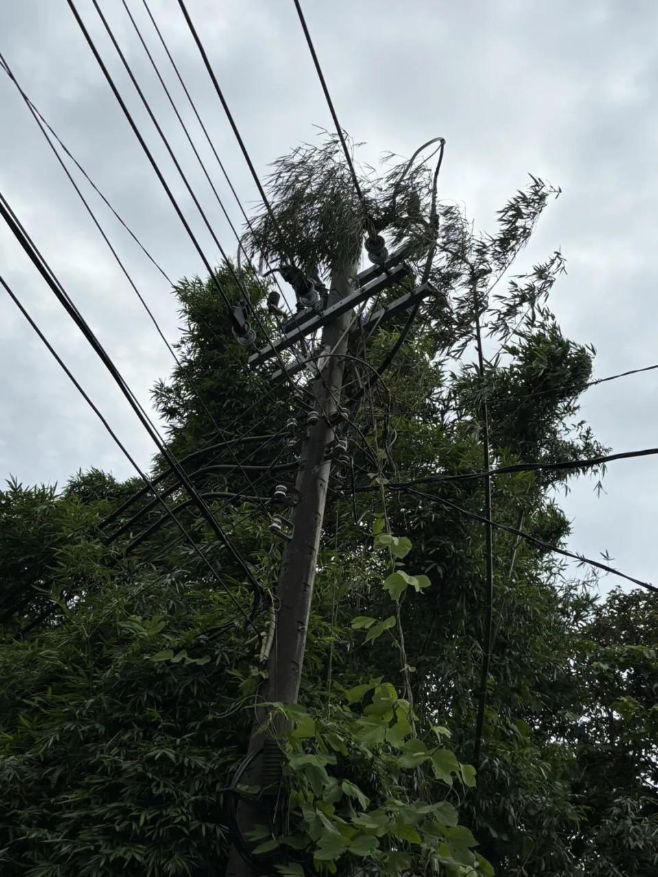 <strong>桃園今天下午又停電。（圖／台電提供）</strong>