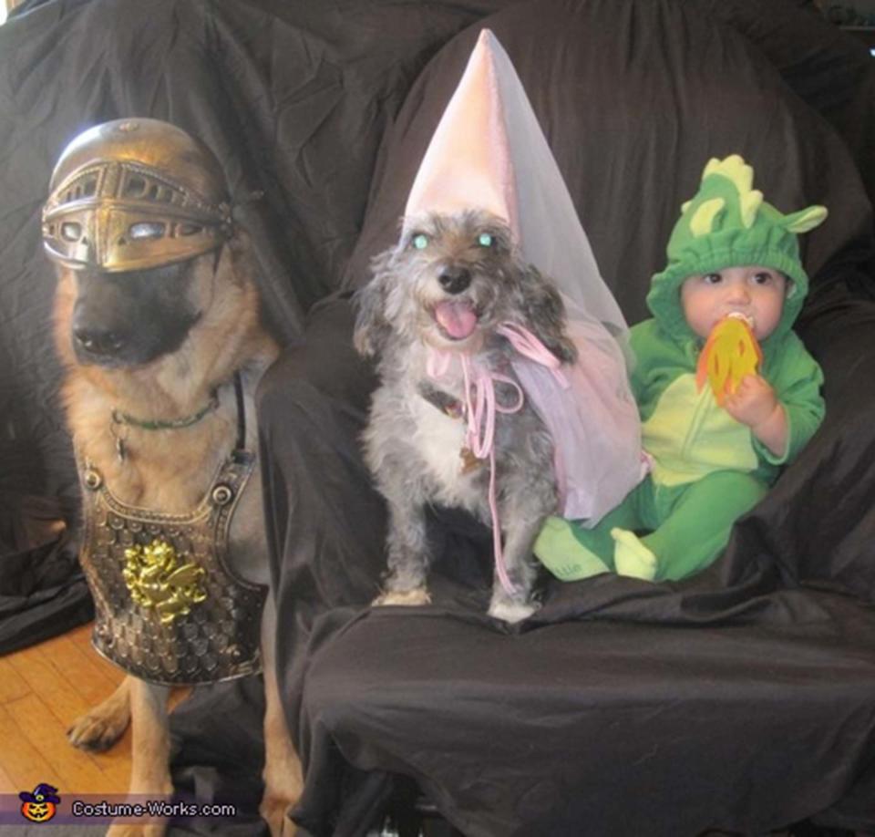 <a href="http://www.costume-works.com/costumes_for_pets/knight_princess_and_dragon.html">via Costume Works</a>