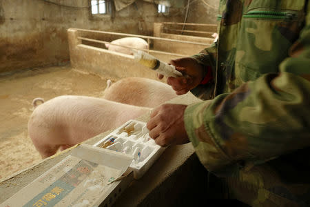 Pig farmer Han Yi prepares antibiotic shots for his pigs on his farm at a village in Changtu county, Liaoning province, China January 17, 2019. Picture taken January 17, 2019. REUTERS/Ryan Woo
