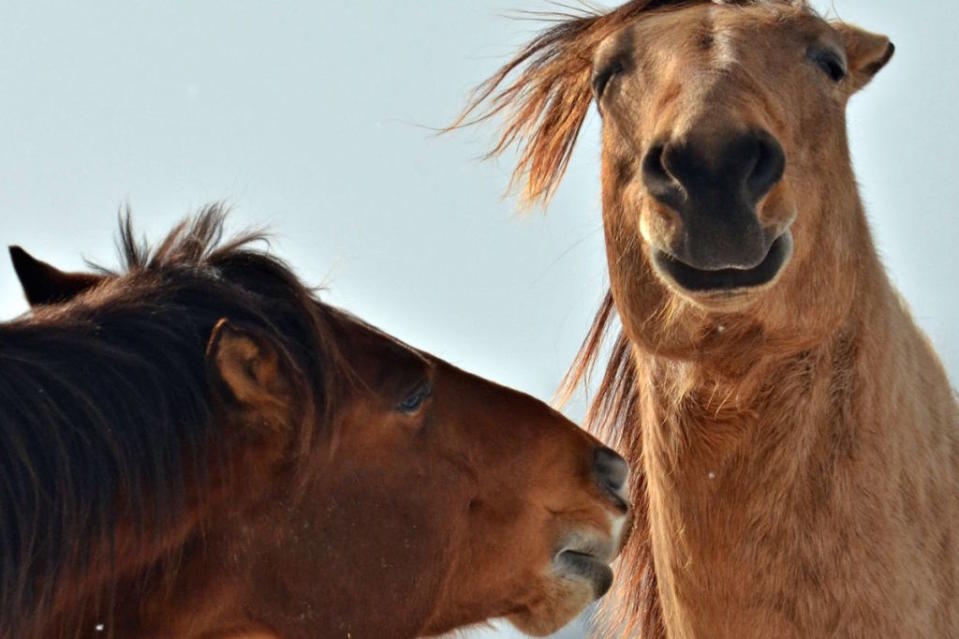 <p>When your friend's trying to help you look professional for your LinkedIn pic.</p>