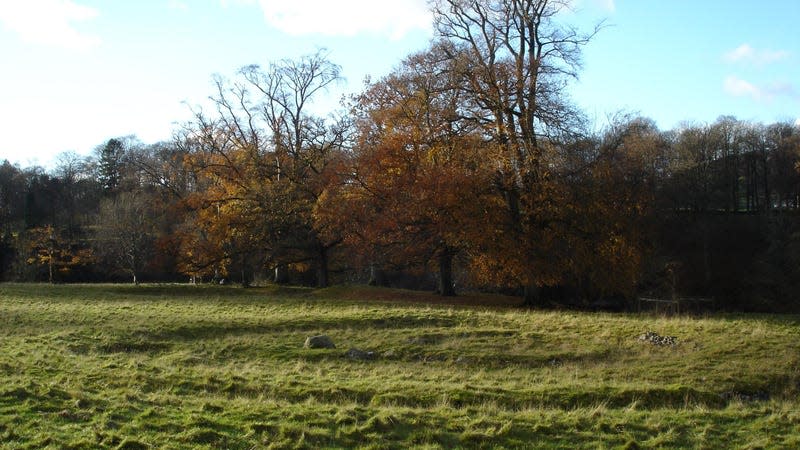 The Levens Park ring cairn, where one set of Bronze Age remains was found carrying Yersinia pestis.