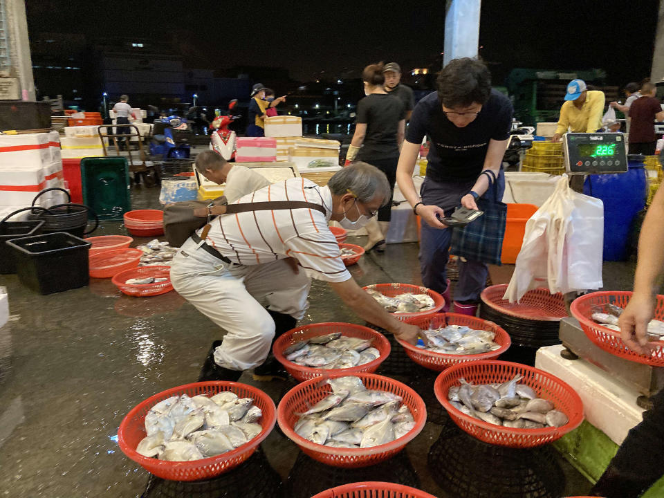 綠色和平志工前往多個港口進行魚類調查訓練，由上而下依序為宜蘭大溪漁港、高雄蚵仔寮漁港，以及凌晨於高雄前鎮漁港，透過勘查拍照記錄，可以更了解臺灣近海漁業過度捕撈情形。