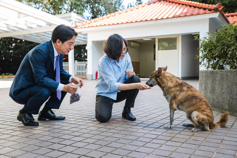 蔡英文備禮物送賴總統愛犬（1） 前總統蔡英文（左2）6日赴總統賴清德（左）官邸作 客，蔡英文特地準備自製牛肉乾、餵食器、玩具球等 禮物送給賴總統的兩隻愛犬斑斑、Murphy。 （總統府提供） 中央社記者葉素萍傳真  113年10月7日 