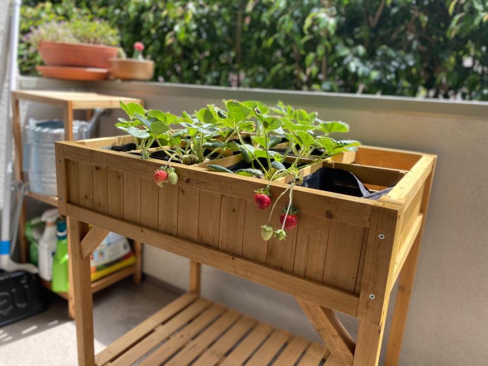 Jen Fox is turning to gardening to help her relax during the coronavirus pandemic. (Photo: Jen Fox)