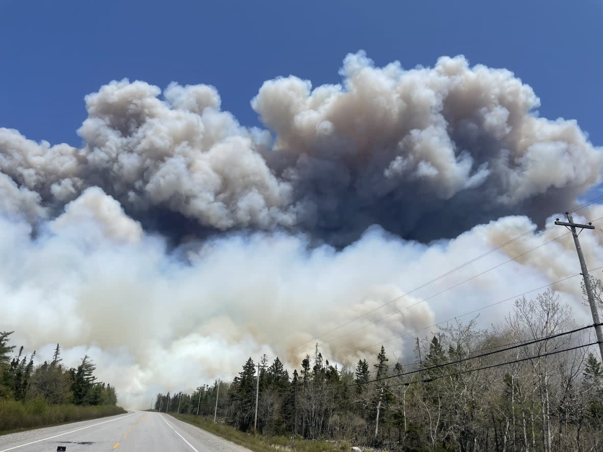 The Nova Scotia Department of Natural Resources and Renewables says a Shelburne County forest fire is out of control. (Department of Natural Resources and Renewables/Twitter - image credit)
