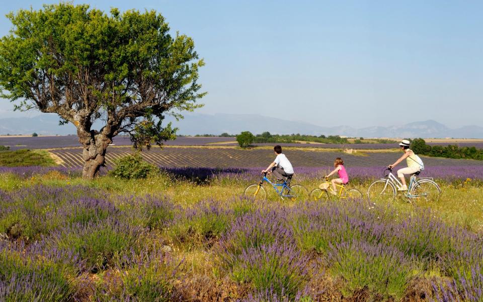 Cycling in Provence